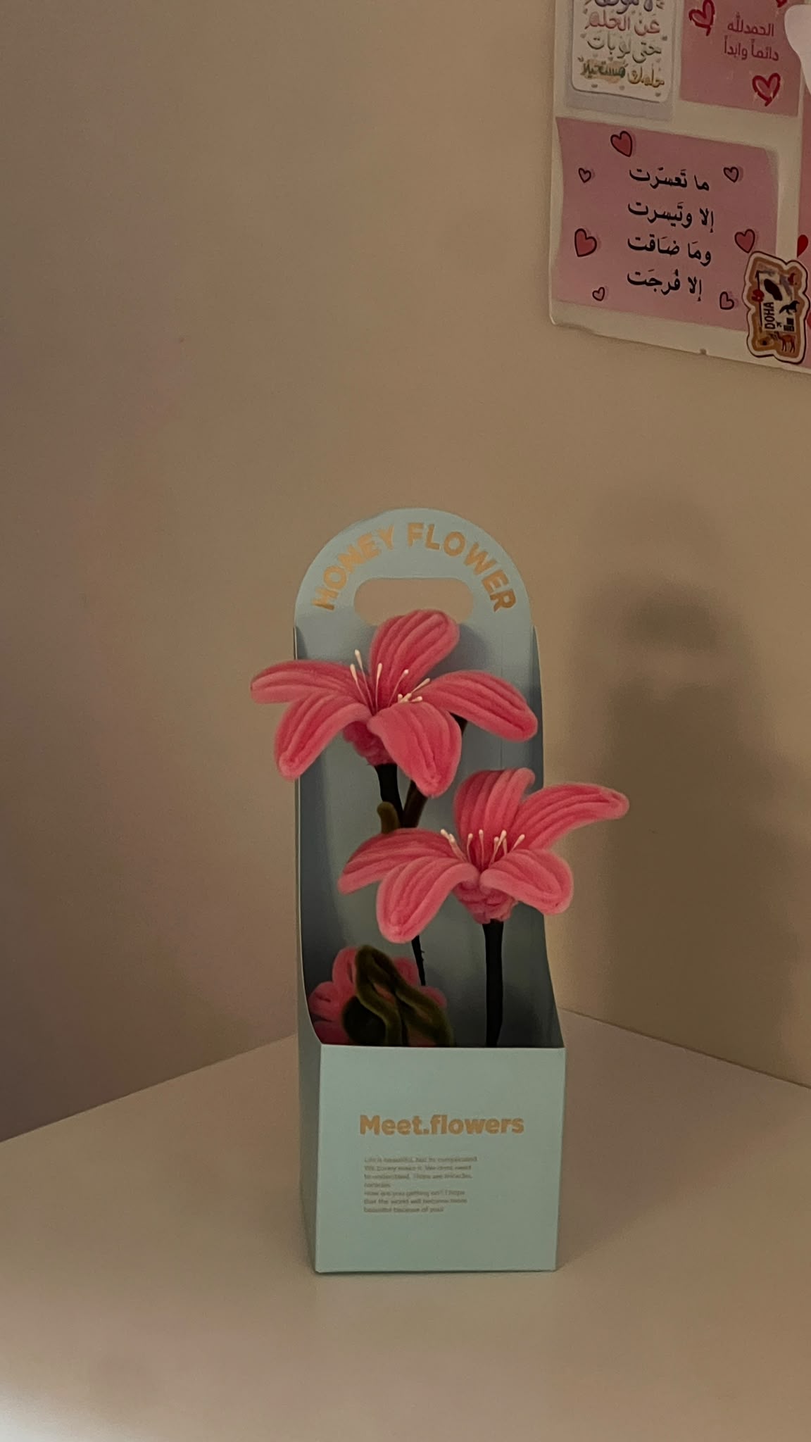 Rose Giveaways 02