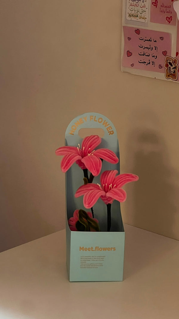 Rose Giveaways 02